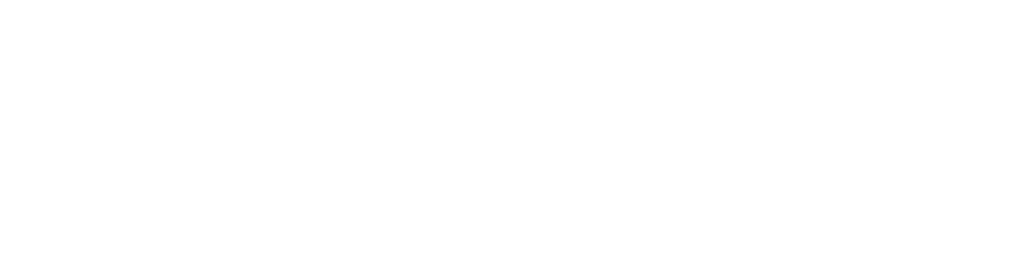 racoun branding solutions